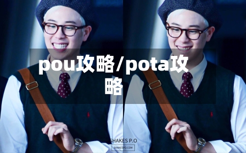 pou攻略/pota攻略