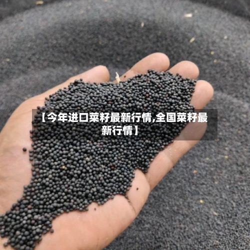 【今年进口菜籽最新行情,全国菜籽最新行情】-第1张图片