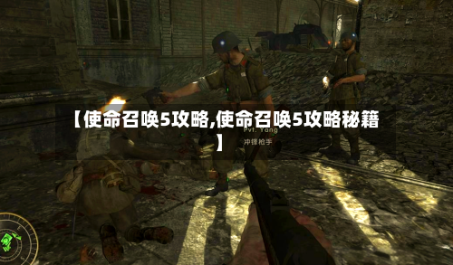 【使命召唤5攻略,使命召唤5攻略秘籍】-第3张图片