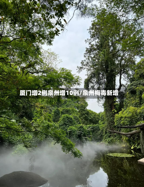 厦门增2例泉州增10例/泉州梅毒新增-第1张图片