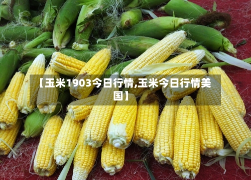【玉米1903今日行情,玉米今日行情美国】-第3张图片