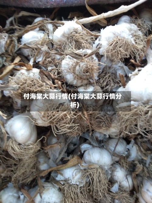 付海棠大蒜行情(付海棠大蒜行情分析)-第1张图片