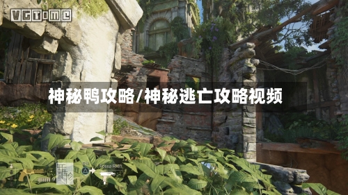 神秘鸭攻略/神秘逃亡攻略视频-第2张图片