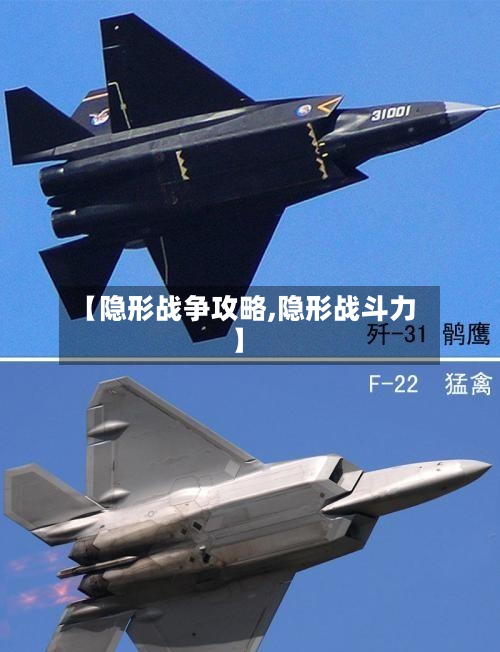 【隐形战争攻略,隐形战斗力】-第2张图片