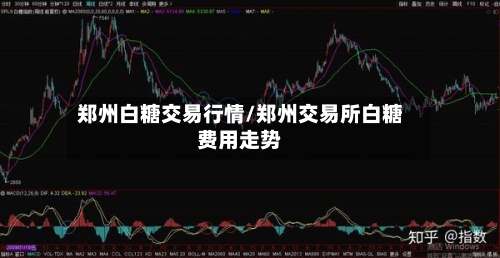 郑州白糖交易行情/郑州交易所白糖费用走势-第1张图片