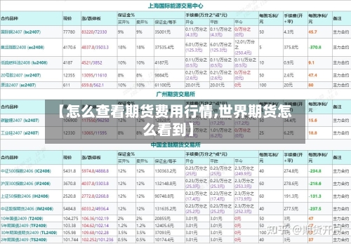 【怎么查看期货费用行情,世界期货怎么看到】-第3张图片