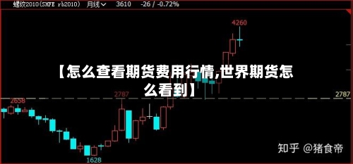 【怎么查看期货费用行情,世界期货怎么看到】-第1张图片