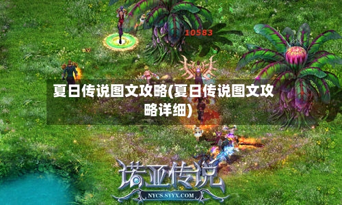 夏日传说图文攻略(夏日传说图文攻略详细)-第2张图片