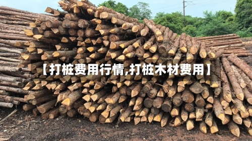【打桩费用行情,打桩木材费用】-第1张图片
