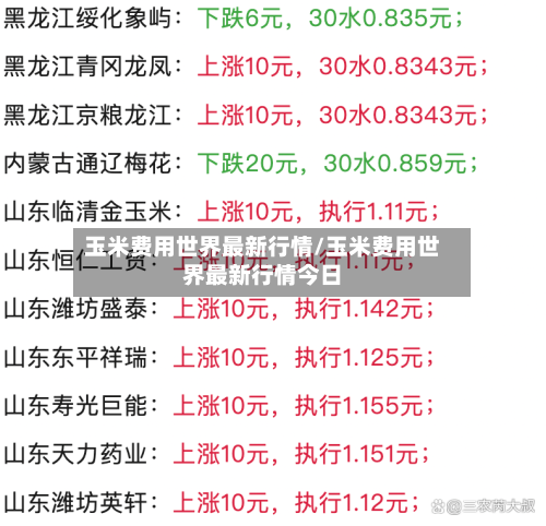 玉米费用世界最新行情/玉米费用世界最新行情今日-第2张图片