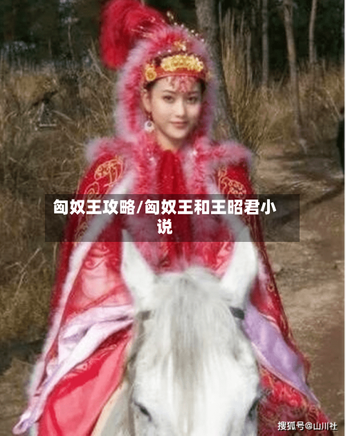 匈奴王攻略/匈奴王和王昭君小说-第1张图片
