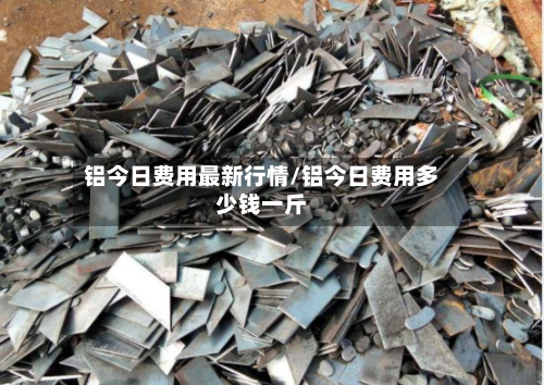 铝今日费用最新行情/铝今日费用多少钱一斤-第1张图片