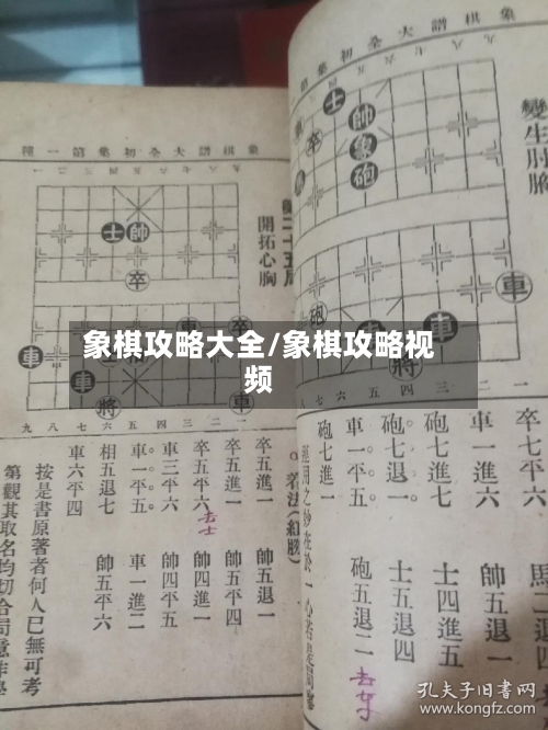 象棋攻略大全/象棋攻略视频-第1张图片
