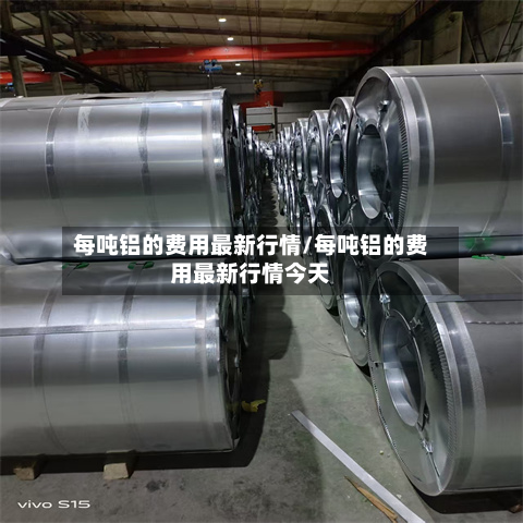 每吨铝的费用最新行情/每吨铝的费用最新行情今天-第2张图片