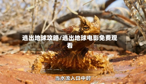 逃出地球攻略/逃出地球电影免费观看-第2张图片