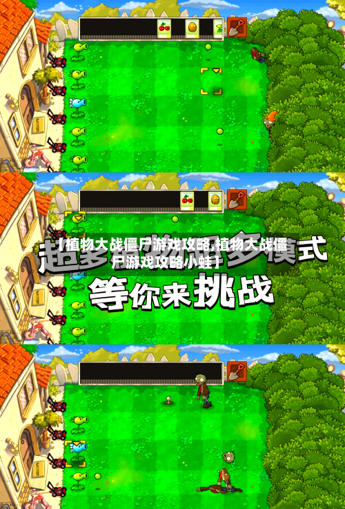 【植物大战僵尸游戏攻略,植物大战僵尸游戏攻略小蛙】-第1张图片