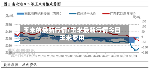 玉米的最新行情/玉米最新行情今日玉米费用-第1张图片