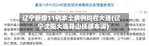 辽宁新增11例本土病例均在大连(辽宁沈阳大连鞍山抚顺本溪)-第3张图片