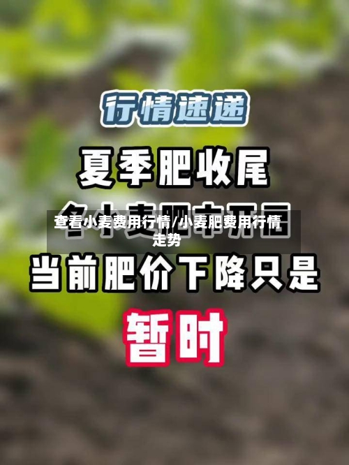 查看小麦费用行情/小麦肥费用行情走势-第2张图片