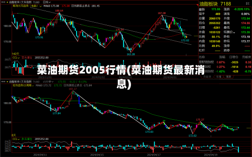 菜油期货2005行情(菜油期货最新消息)-第1张图片