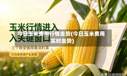 今日玉米费用行情走势(今日玉米费用实时走势)-第1张图片