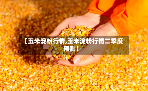 【玉米淀粉行情,玉米淀粉行情二季度预测】-第1张图片