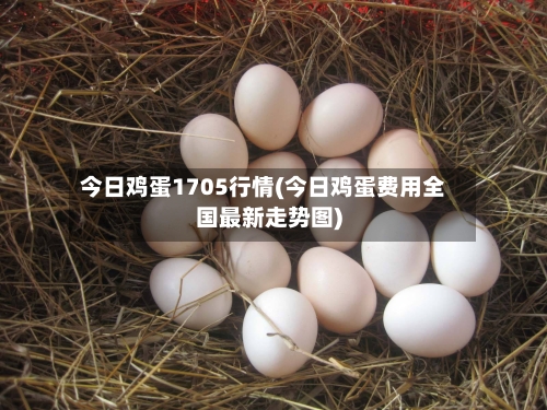 今日鸡蛋1705行情(今日鸡蛋费用全国最新走势图)-第1张图片