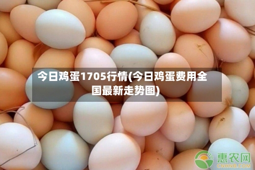 今日鸡蛋1705行情(今日鸡蛋费用全国最新走势图)-第2张图片