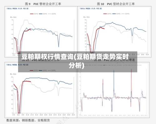 豆粕期权行情查询(豆粕期货走势实时分析)