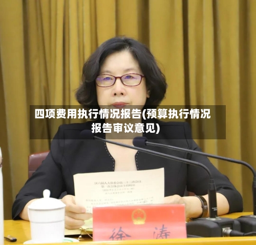 四项费用执行情况报告(预算执行情况报告审议意见)-第1张图片