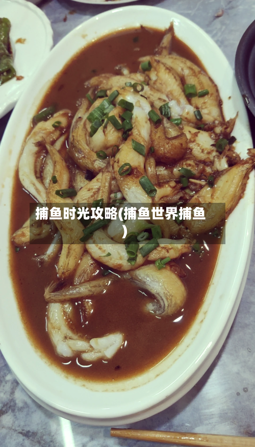 捕鱼时光攻略(捕鱼世界捕鱼)-第1张图片