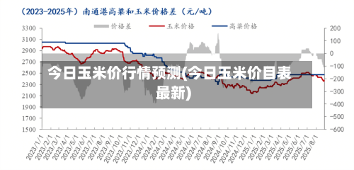 今日玉米价行情预测(今日玉米价目表最新)