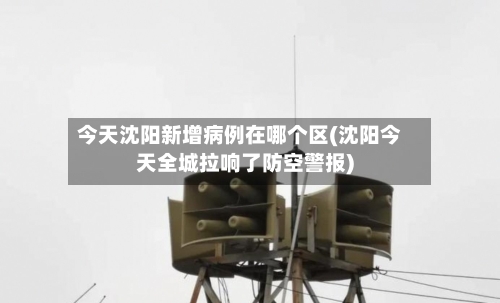 今天沈阳新增病例在哪个区(沈阳今天全城拉响了防空警报)-第1张图片