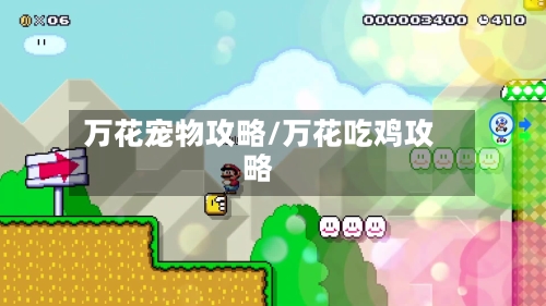 万花宠物攻略/万花吃鸡攻略-第1张图片