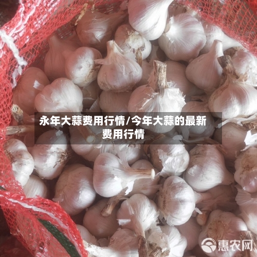 永年大蒜费用行情/今年大蒜的最新费用行情-第1张图片