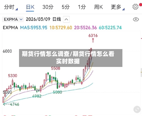 期货行情怎么调查/期货行情怎么看实时数据-第1张图片