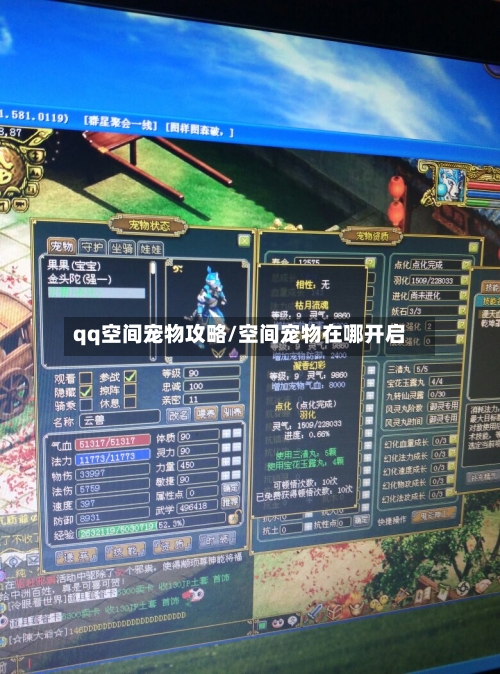 qq空间宠物攻略/空间宠物在哪开启-第1张图片