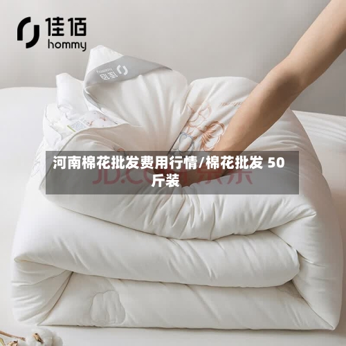 河南棉花批发费用行情/棉花批发 50斤装-第2张图片