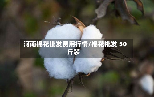 河南棉花批发费用行情/棉花批发 50斤装-第1张图片