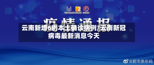 云南新增6例本土确诊病例/云南新冠病毒最新消息今天-第3张图片