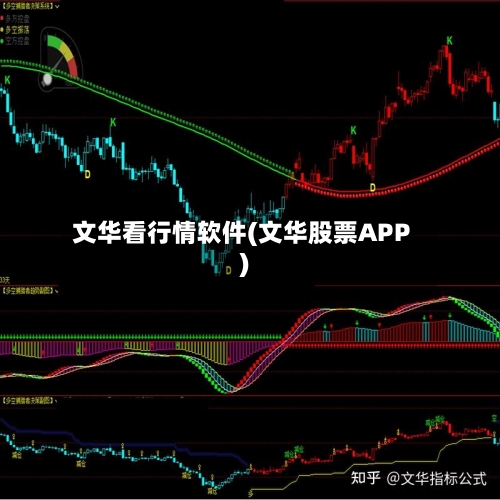 文华看行情软件(文华股票APP)-第1张图片