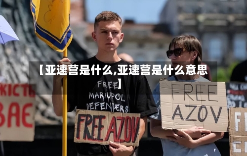 【亚速营是什么,亚速营是什么意思】-第2张图片