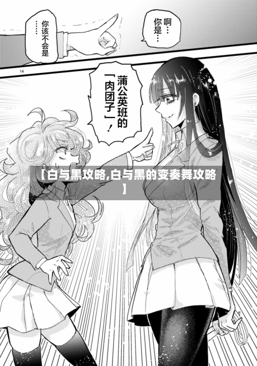 【白与黑攻略,白与黑的变奏舞攻略】-第1张图片