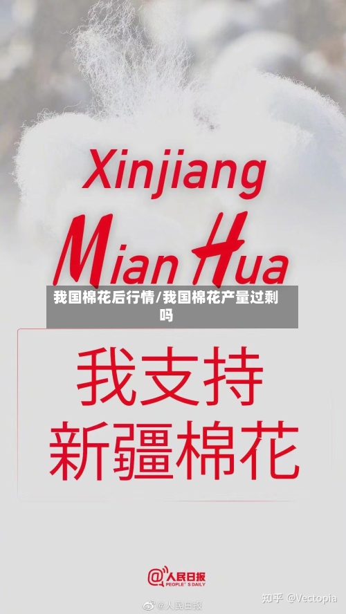 我国棉花后行情/我国棉花产量过剩吗-第3张图片