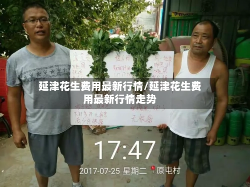 延津花生费用最新行情/延津花生费用最新行情走势-第1张图片
