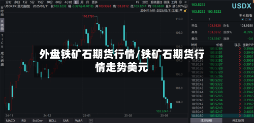 外盘铁矿石期货行情/铁矿石期货行情走势美元-第3张图片