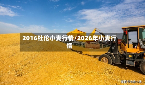 2016杜伦小麦行情/2026年小麦行情-第2张图片