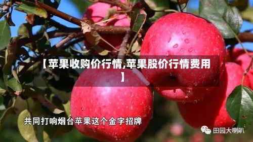【苹果收购价行情,苹果股价行情费用】-第1张图片