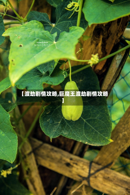 【渡劫剧情攻略,巨魔王渡劫剧情攻略】-第1张图片