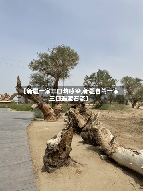 【新疆一家三口均感染,新疆自驾一家三口遇泥石流】